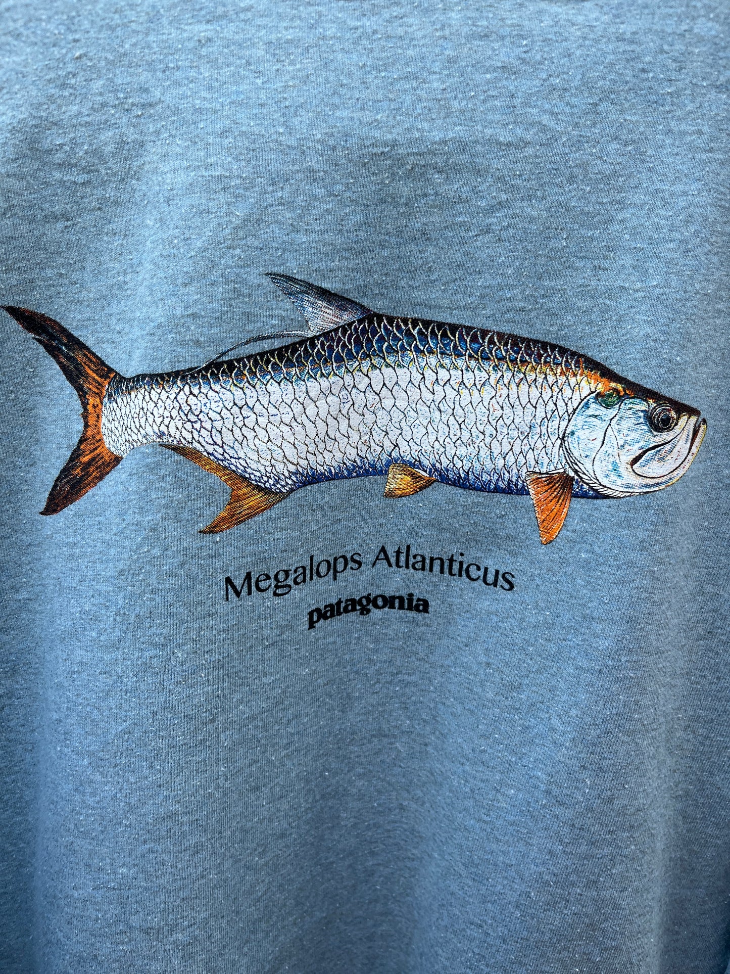Polera Patagonia (M)